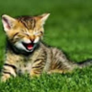 Meet your Posher, Erika